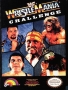Nintendo  NES&nbsp; - &nbsp;WWF Wrestlemania Challenge